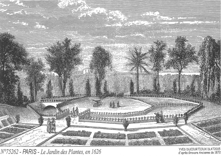 N 75262 - PARIS - le jardin des plantes en 1626