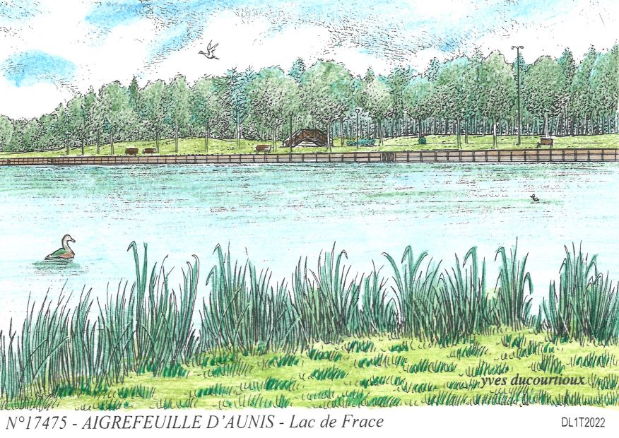 N 17475 - AIGREFEUILLE D AUNIS - lac de frace