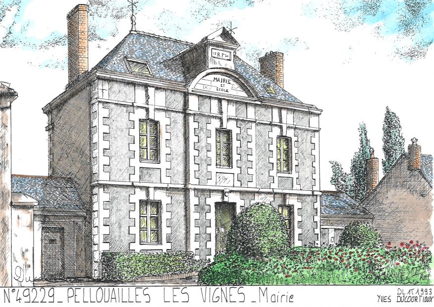 N 49229 - PELLOUAILLES LES VIGNES - mairie