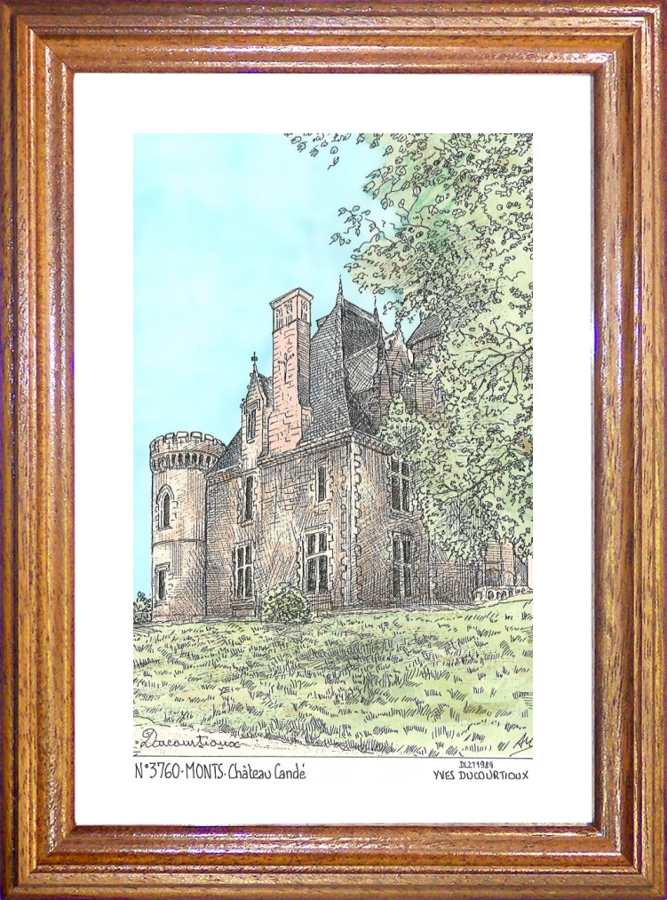 N 37060 - MONTS - château candé