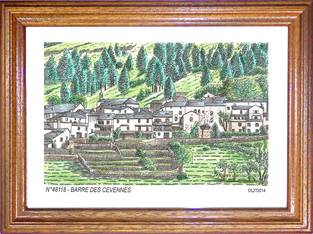 N 48118 - BARRE DES CEVENNES - vue